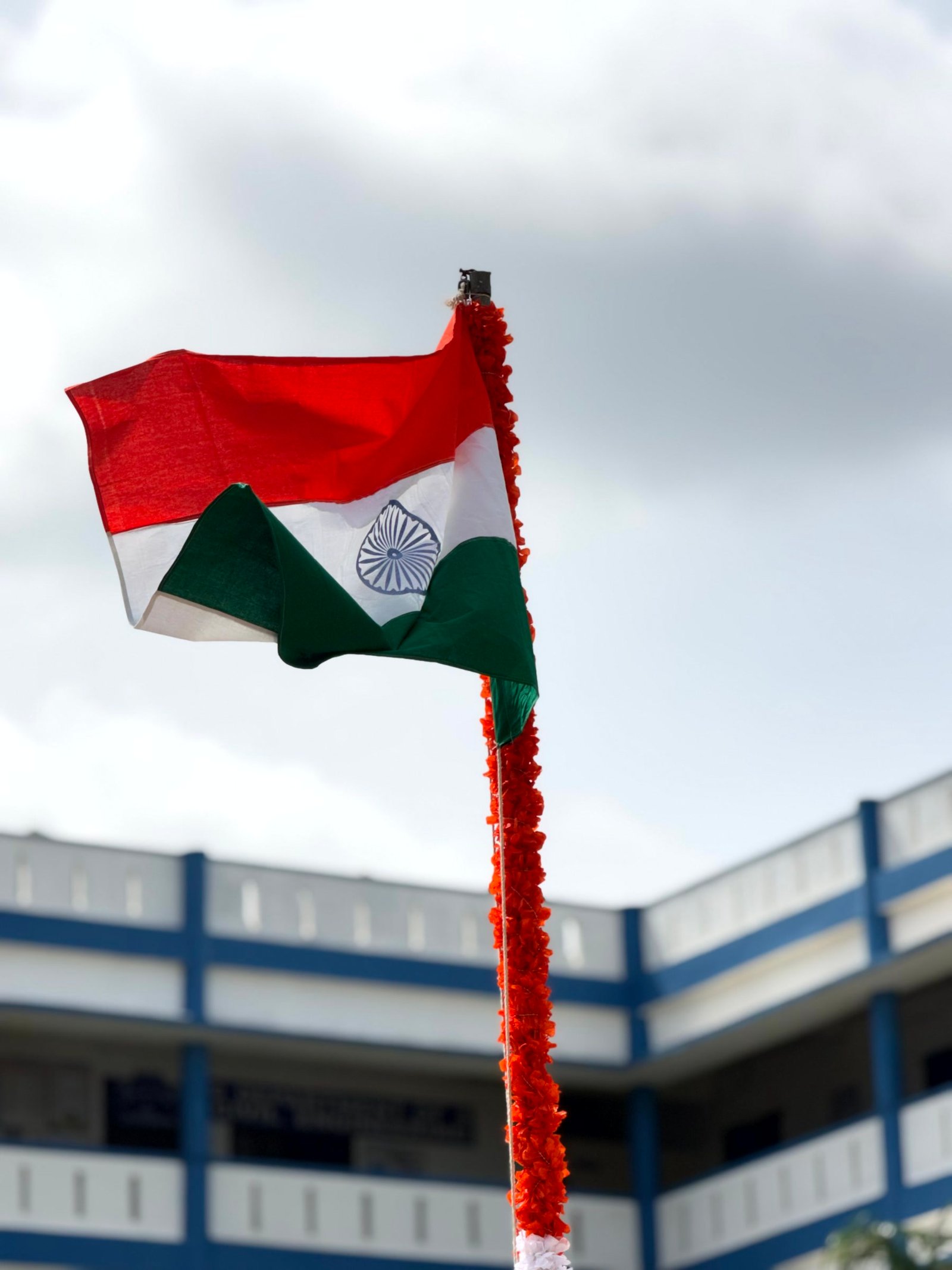 IMG 3357