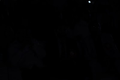 DSC09857.JPG